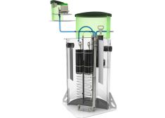 Зорде Рейн 20 Миди