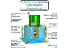 ГРИНЛОС Аква 10 Пр Миди