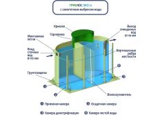 Гринлос Эко 12