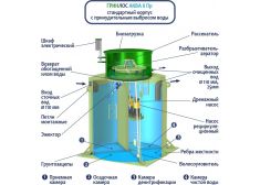 ГРИНЛОС Аква 8 Пр