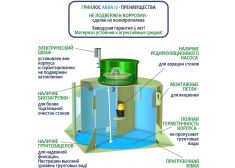 ГРИНЛОС Аква 12
