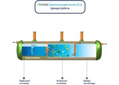 Накопительный септик Гринлос СП 10