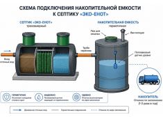 Эко-Енот Fintek 1
