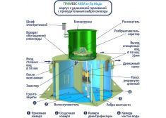 ГРИНЛОС Аква 10 Пр Миди