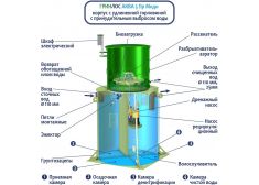 ГРИНЛОС Аква 5 Миди