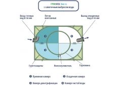 Гринлос Эко 12
